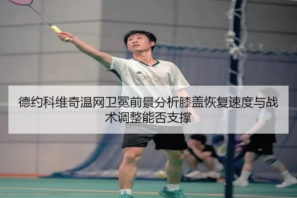 de-yue-ke-wei-qi-wen-wang-wei-mian-qian-jing-fen-xi-xi-gai-hui-fu-su-du-yu-zhan-shu-tiao-zheng-neng-fou-zhi-cheng-2-419.jpg